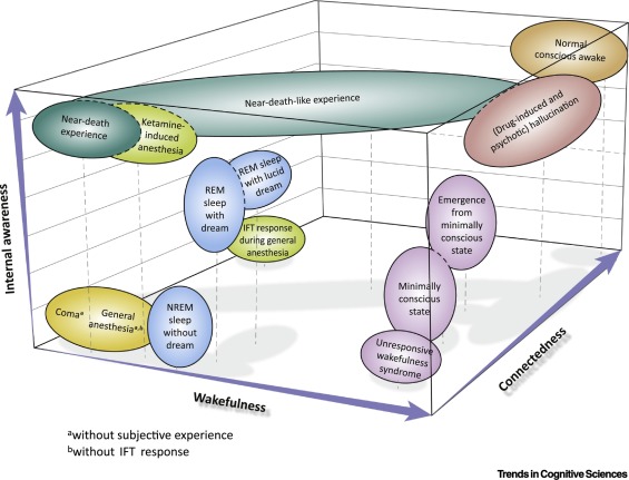 Unified framework of consciousness